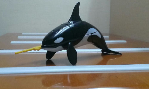 seabatlon_3