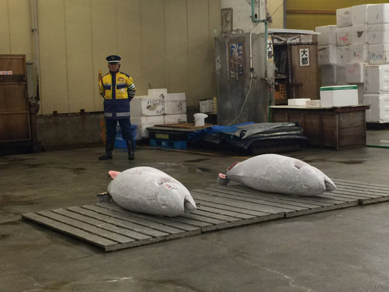 tsukiji_21