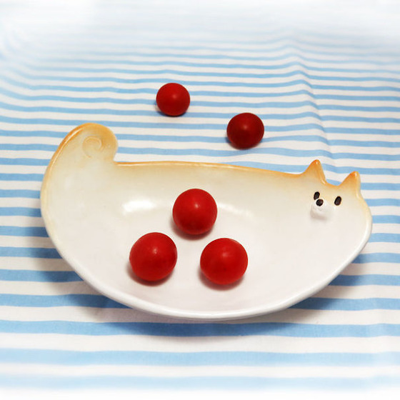 shibainu_10