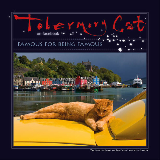 catland_13