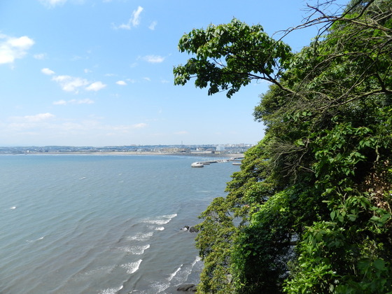 swedish_japan_trip_25