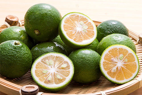 kabosu_0