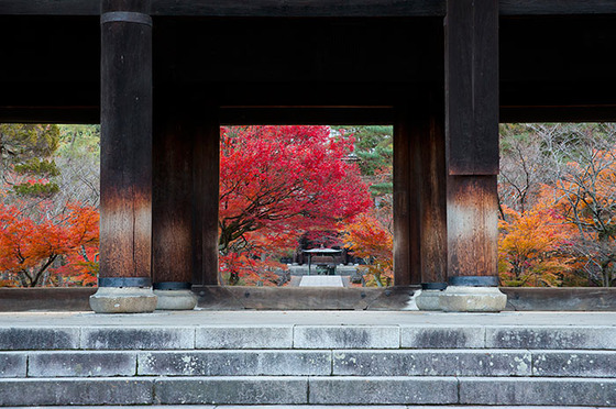 japan_autumnwindow_7