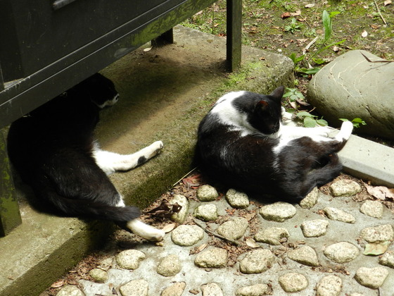 swedish_japan_trip_27