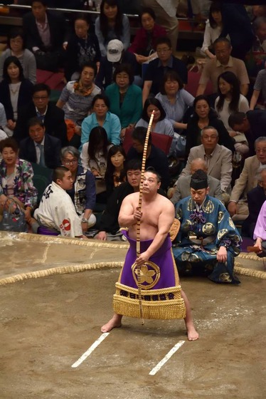 sumo_10