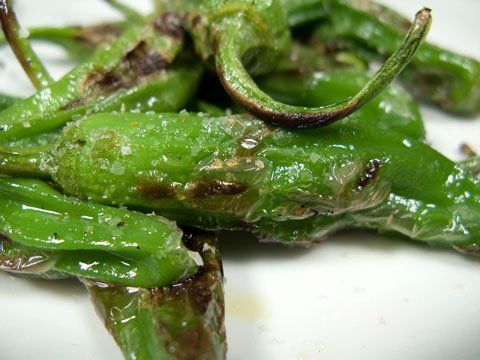 shishito_3