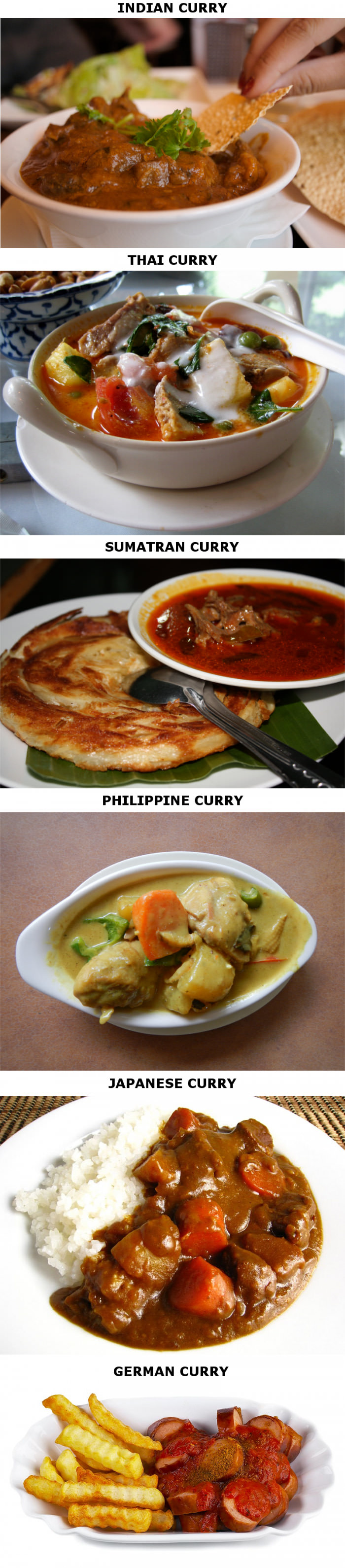 海外 日本のカレーは最高 日本含む世界各国のカレーを見た海外の反応 すらるど 海外の反応