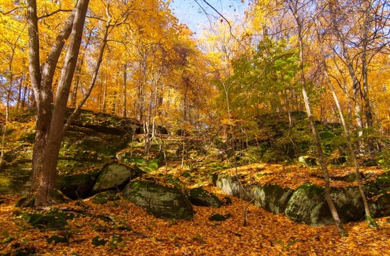 autumn_place_3