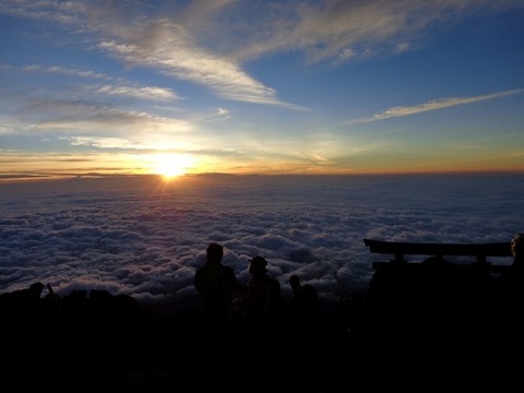 7225de26.jpg