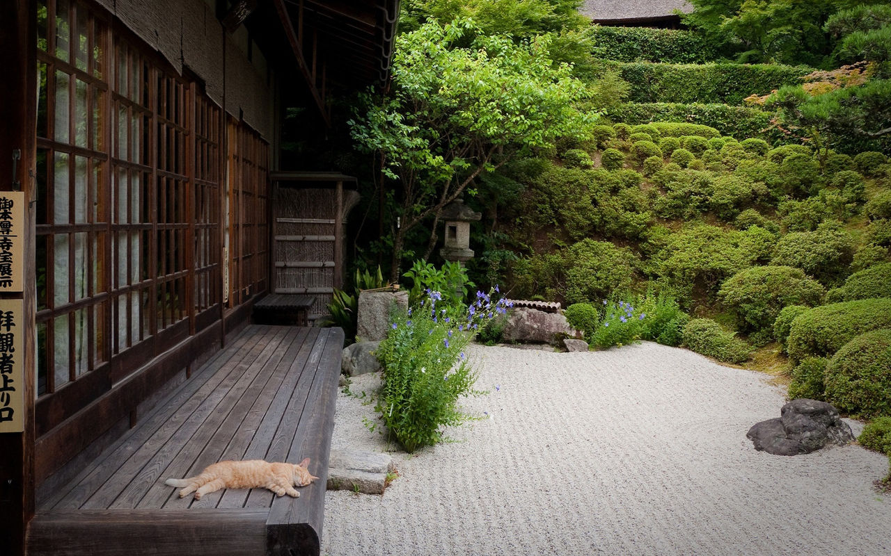 これが幸せの形 京都のお寺にある枯山水の前でお昼寝する猫を見た海外の反応 すらるど 海外の反応