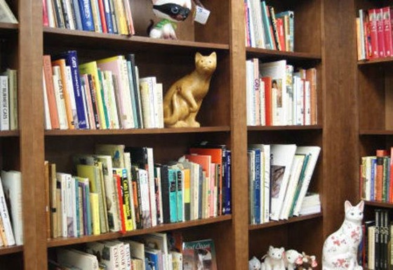 catland_10_2