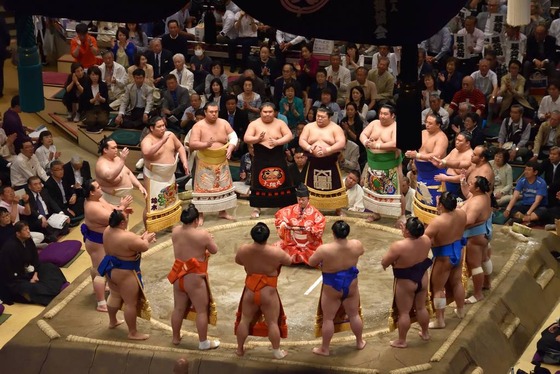 sumo_2