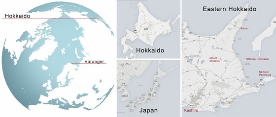 bird_japan_4