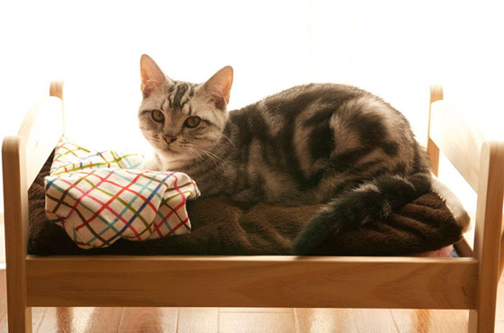 ikea_dool_bed8