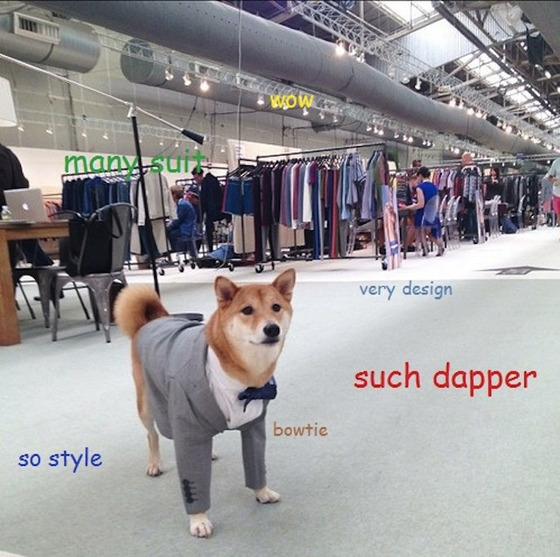 doge2