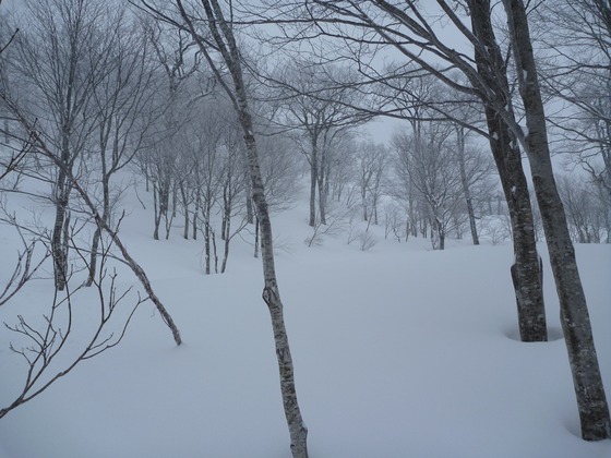tohoku_ski_25