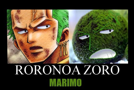 marimo9