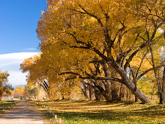 autumn_place_2