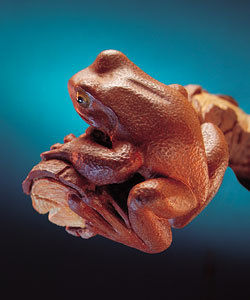 nakayama_hidetoshi_knives_otherworks2