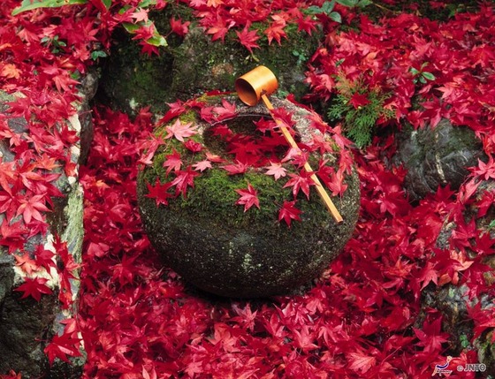 japan_fallscene3