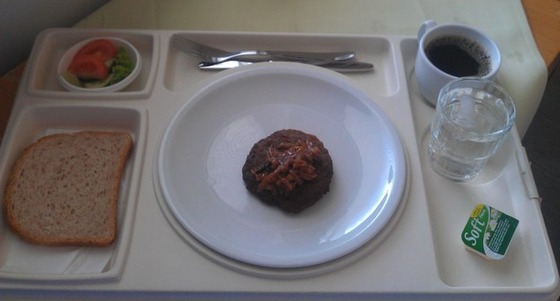 world_hospitalfood17