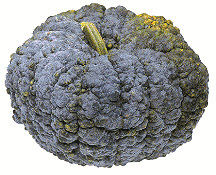 pumpkin_2_2