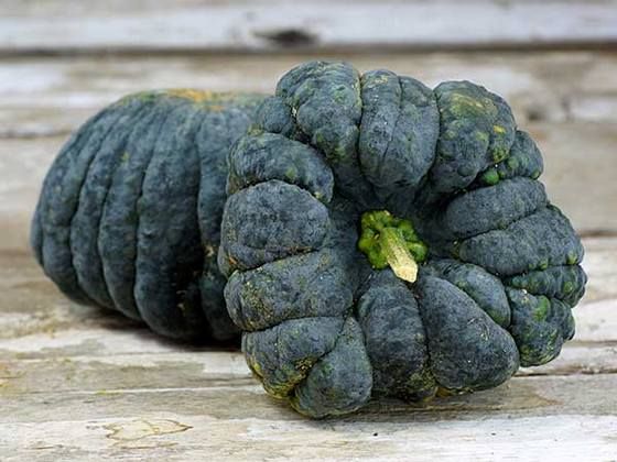 pumpkin_1
