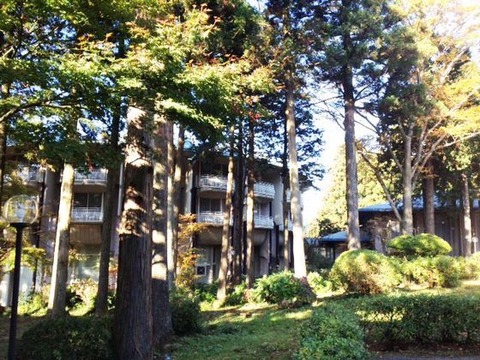 85fe8267.jpg