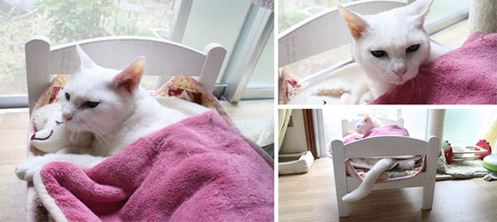 ikea_dool_bed7