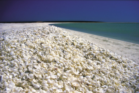 starsand_4