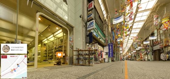 cat_street_view_3