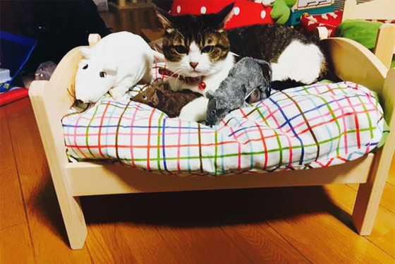 ikea_dool_bed14