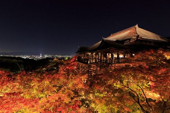 10reason_autumn_japan_2