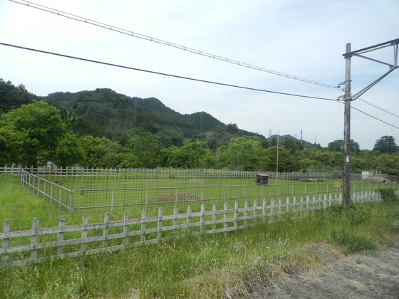 swedish_japan_trip_39