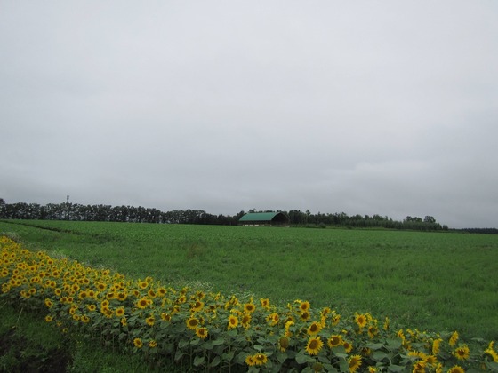 bike_touring_30