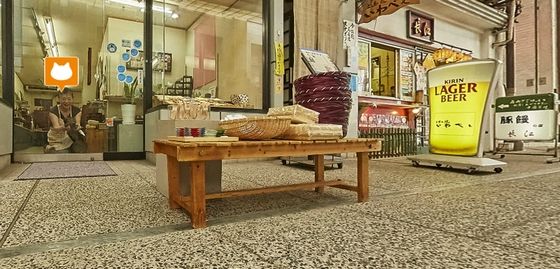 cat_street_view_2
