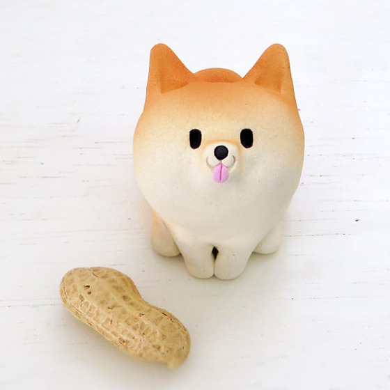 shibainu_25
