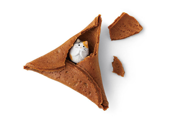 japan_fortune_cookie_2