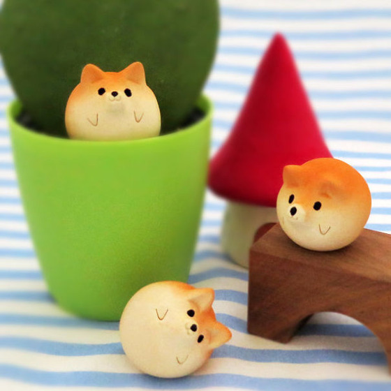 shibainu_11