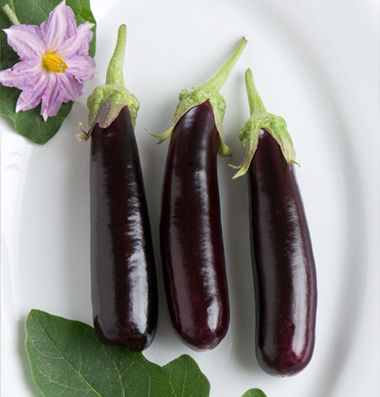 eggplant_10