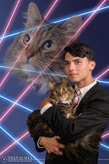 2014_cats_18
