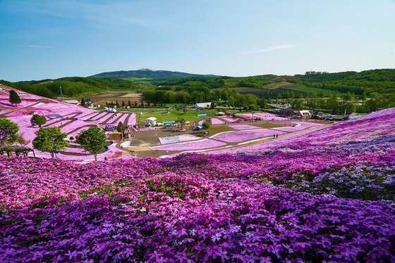 hokkaido_traveL_24
