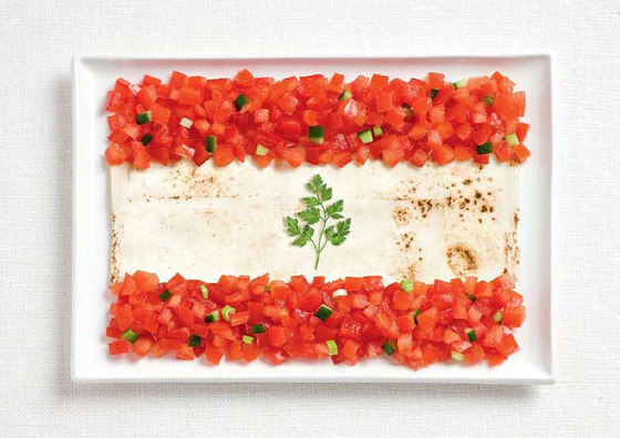 world_foodflag8