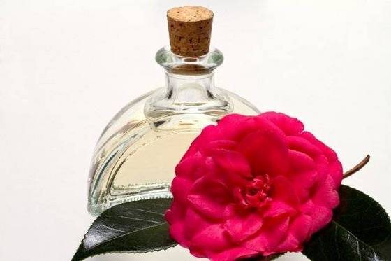 camelliaoil_1