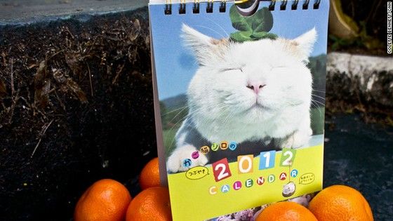animal_celeb_japan1