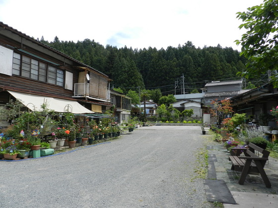 swedish_japan_trip_47