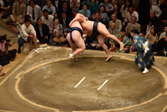 sumo_8
