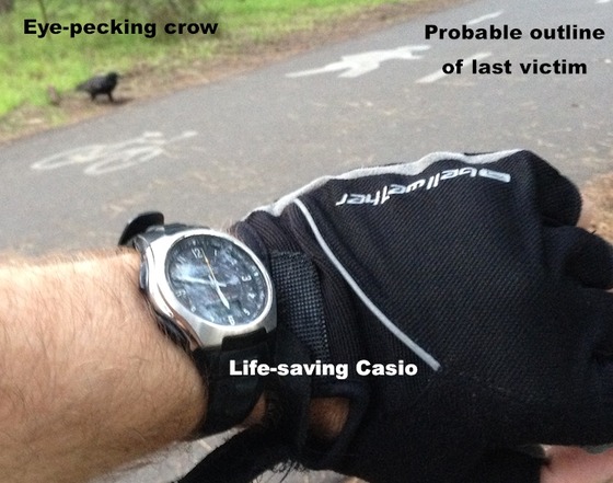 basic_casio_35