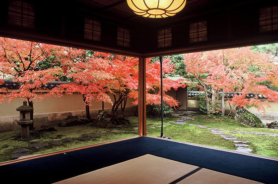 japan_autumnwindow_3