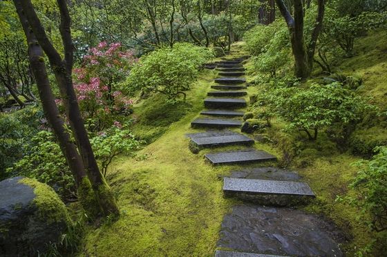 moss_3
